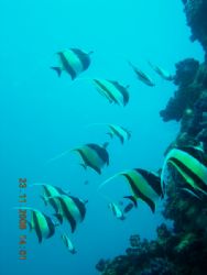 photo taken at phuket by Bok Leng Tan 
